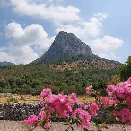 Dia * Zaostrog