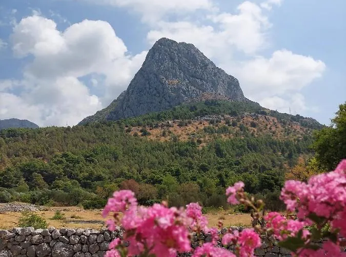 Dia * Zaostrog